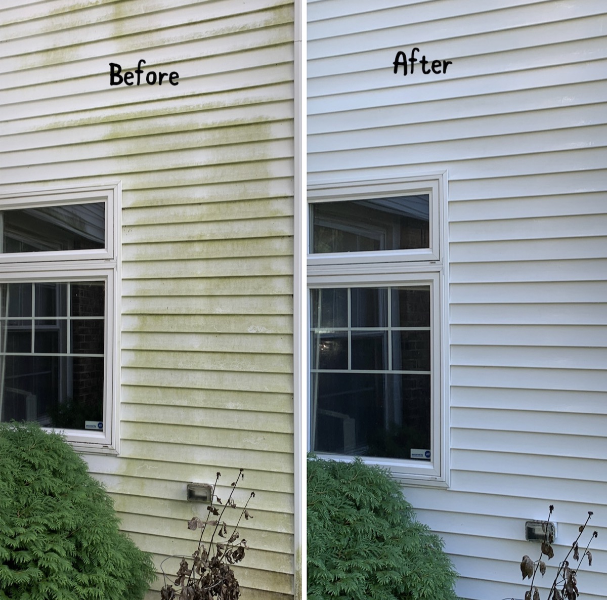 Vinyl siding algae removal before and after