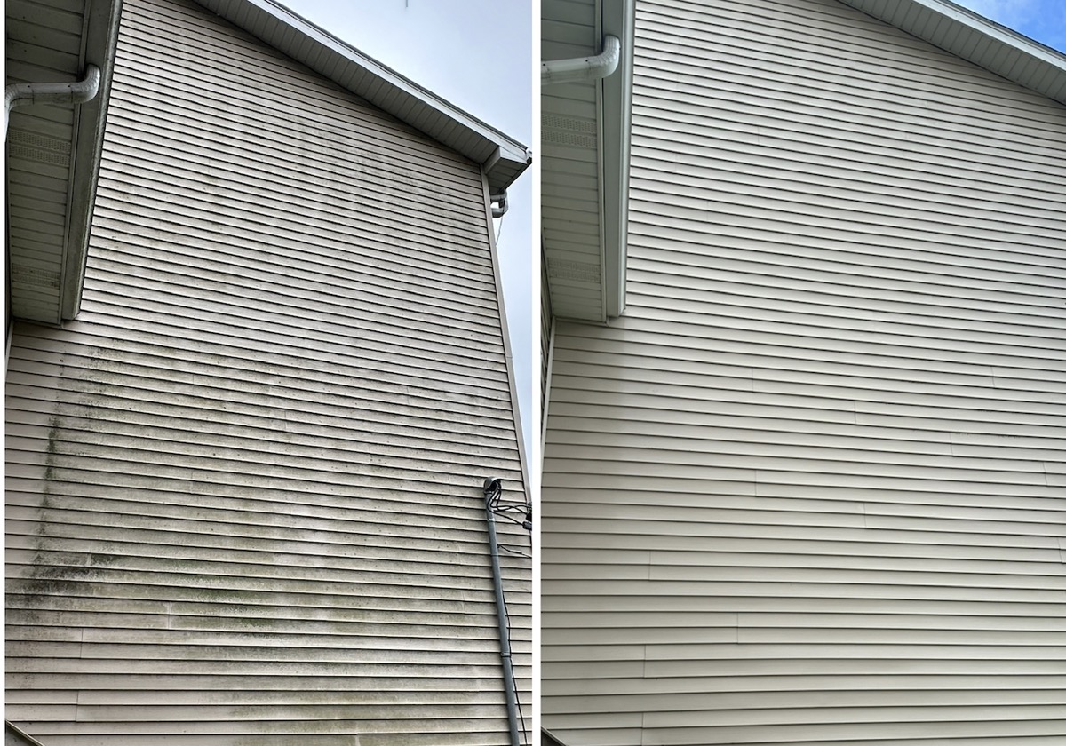 Tall siding mildew cleaning before and after